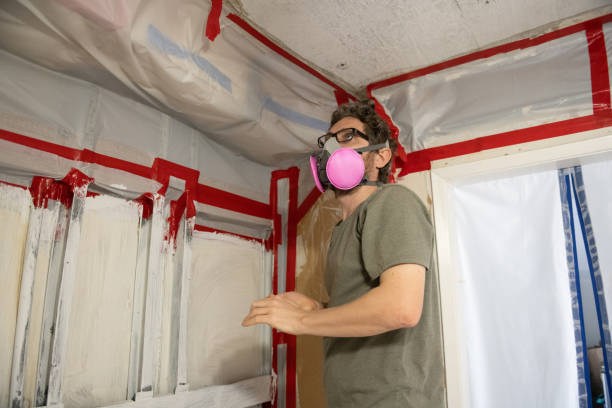 Best Water Damage & Mold Remediation  in Titusville, FL